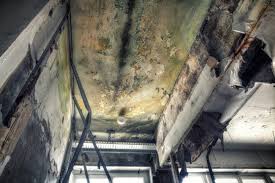 Best Mold Removal for HVAC Installations  in Cullowhee, NC